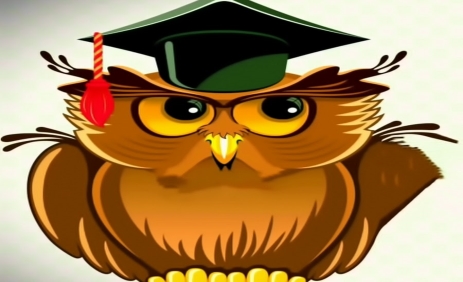 Wise owl - YouTube